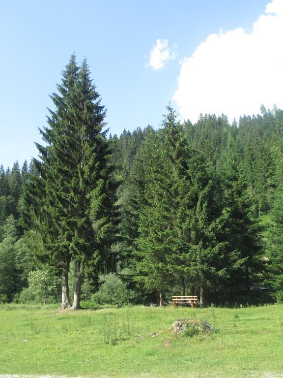 Schwarzenbacher Lungötz Habitación foto